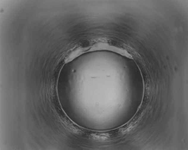 X0000066940359200603311423