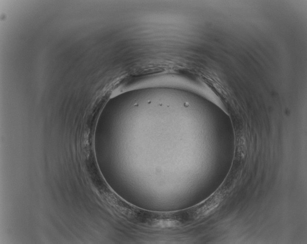 X0000066940360200603311423