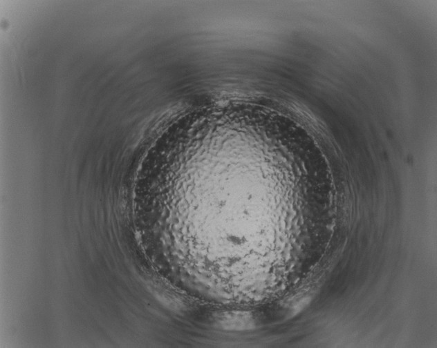 X0000066940361200603311423