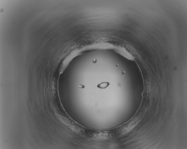 X0000066940362200603311423