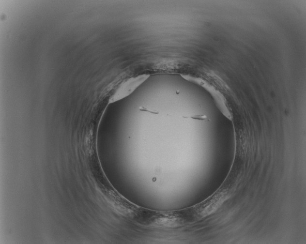 X0000066940364200603311423