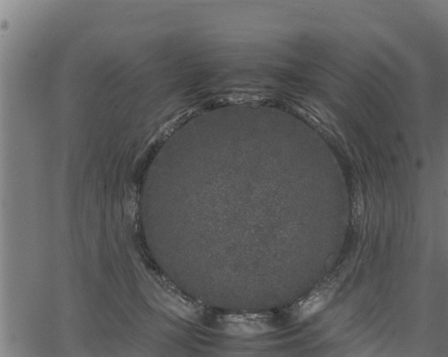 X0000066940367200603311423