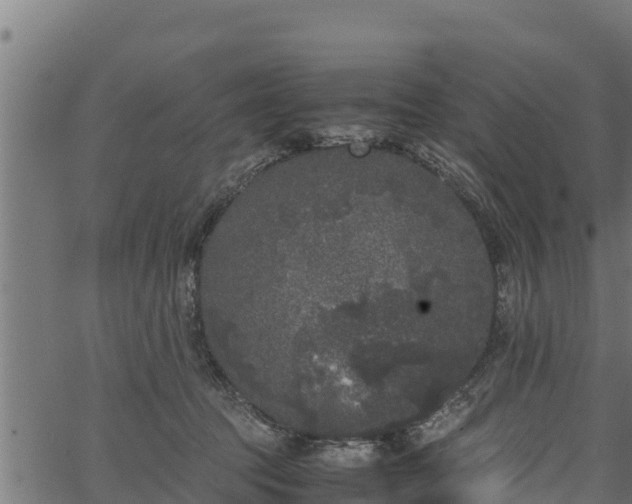 X0000066940369200603311423