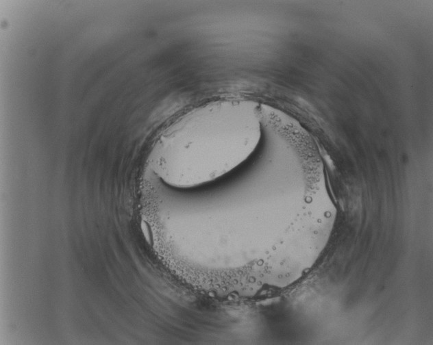 X0000066940370200603311423