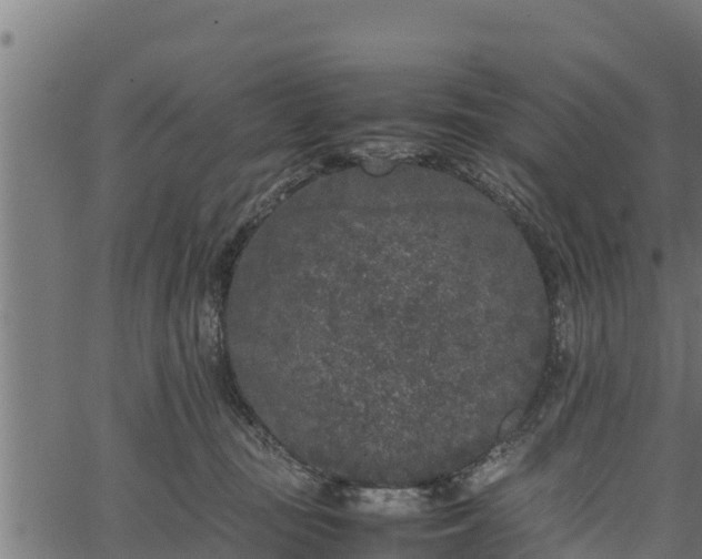 X0000066940371200603311423