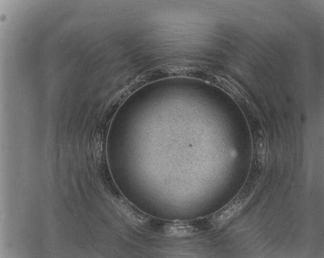 X0000066940372200603311423