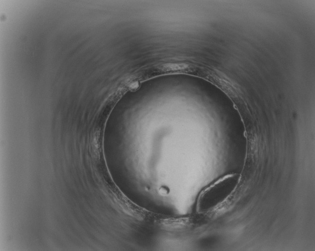 X0000066940373200603311423