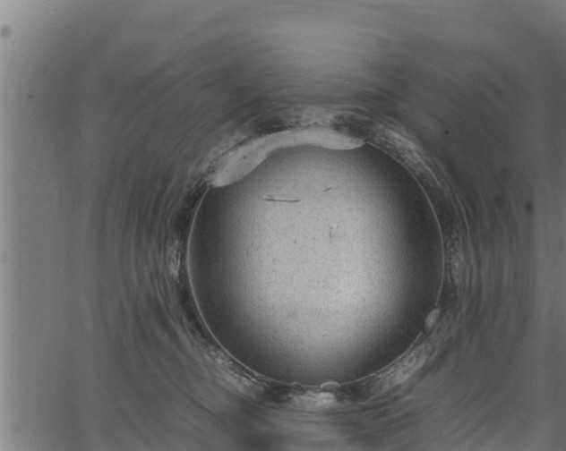 X0000066940374200603311423