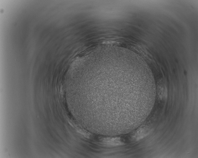 X0000066940375200603311423