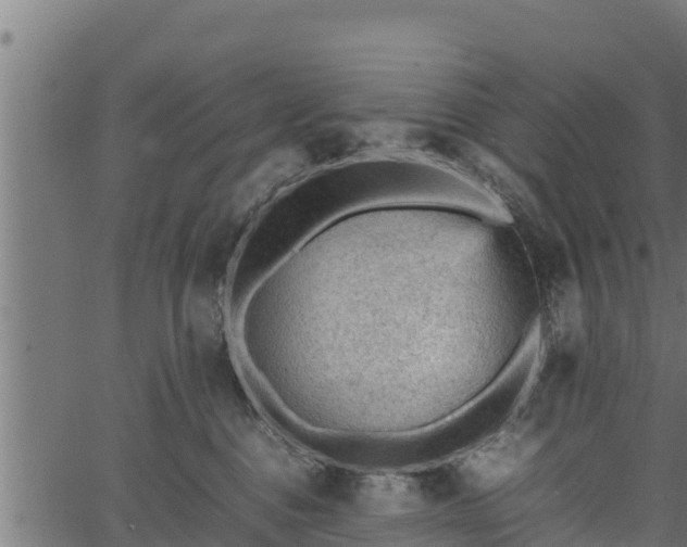 X0000066940376200603311423