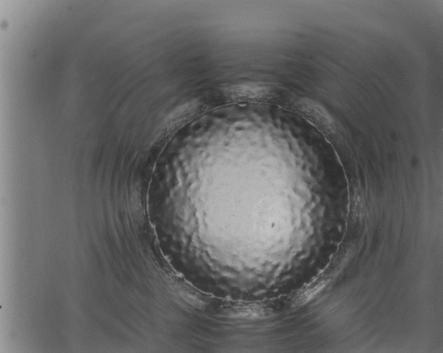 X0000066940377200603311423