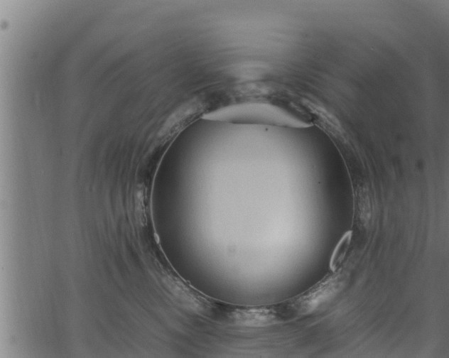 X0000066940378200603311423