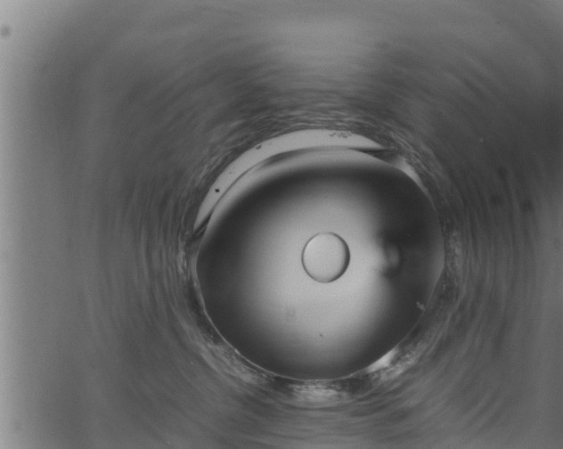 X0000066940380200603311423