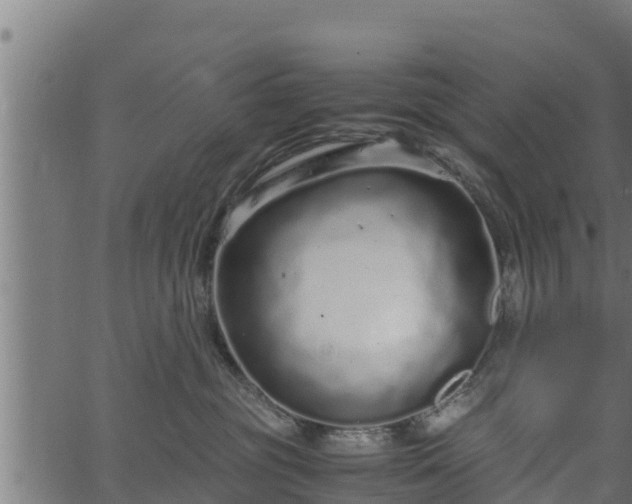 X0000066940381200603311423