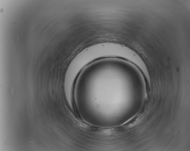 X0000066940382200603311423