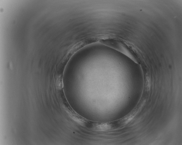 X0000066940383200603311423