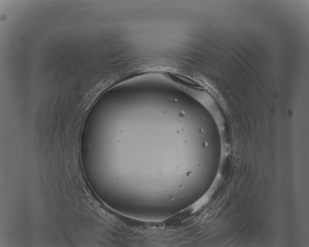 X0000066940385200603311422