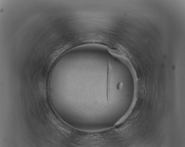 X0000066940386200603311422