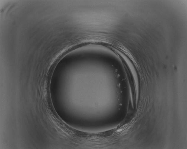 X0000066940387200603311422