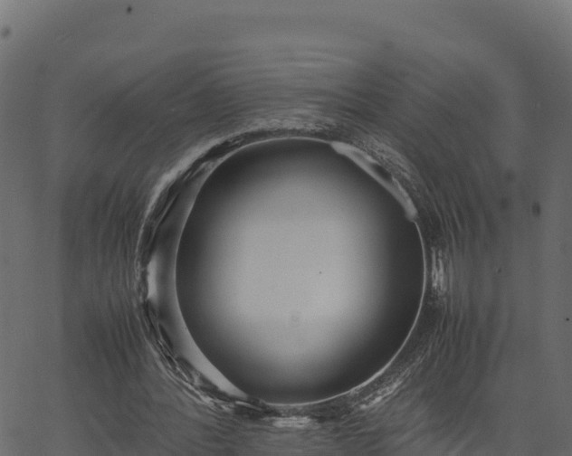 X0000066940388200603311422