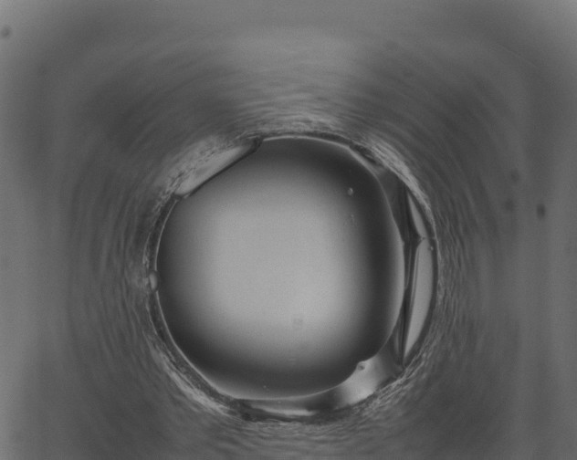 X0000066940389200603311422