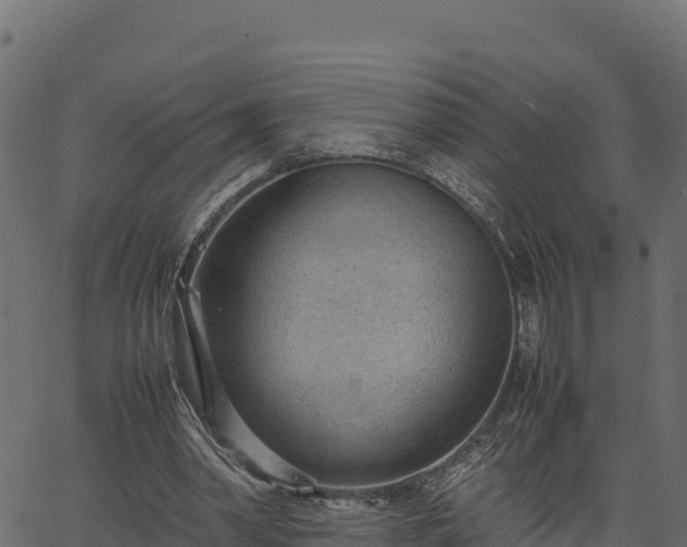 X0000066940390200603311422