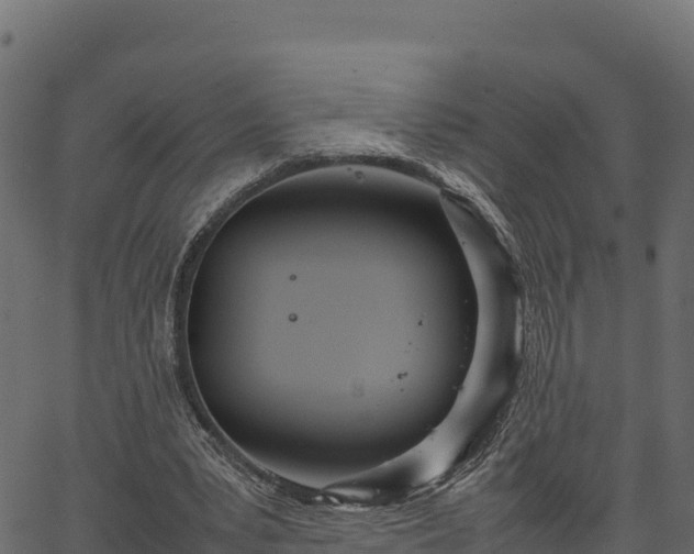 X0000066940391200603311422