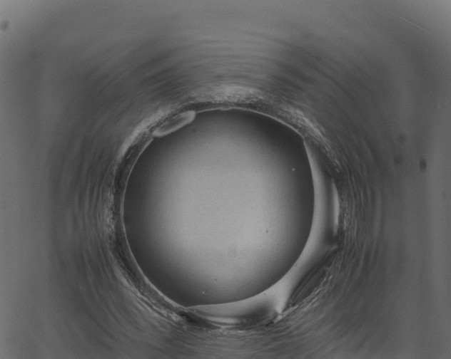 X0000066940392200603311422