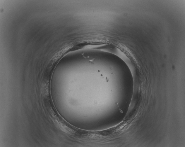 X0000066940393200603311422