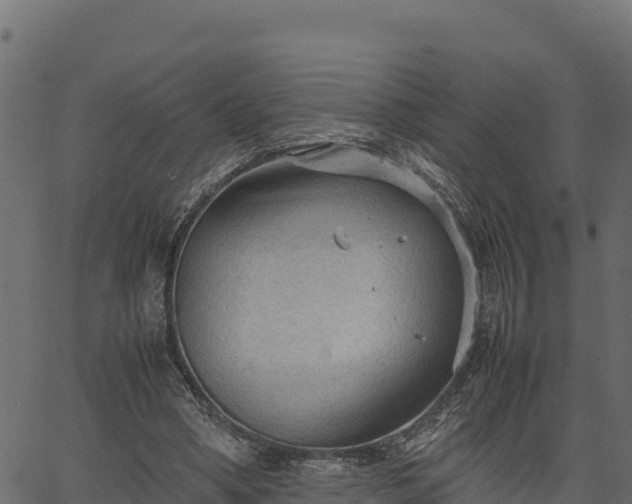 X0000066940394200603311422