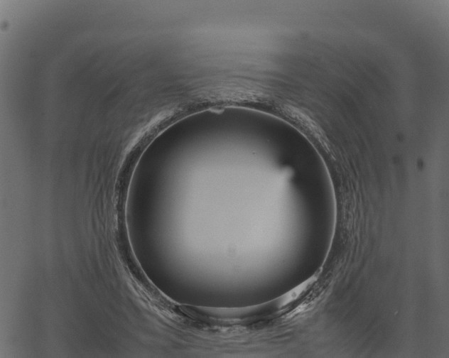 X0000066940395200603311422