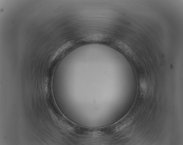 X0000066940396200603311422