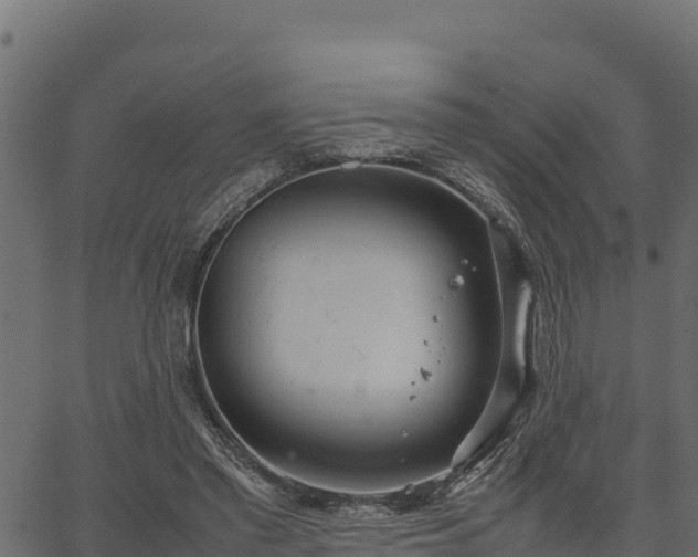 X0000066940397200603311422