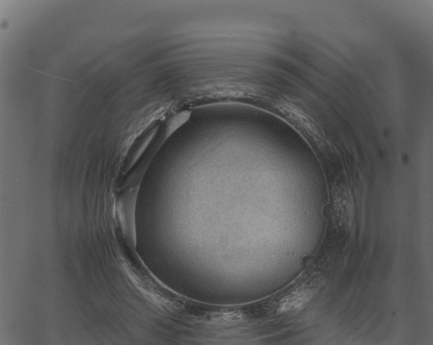 X0000066940398200603311422