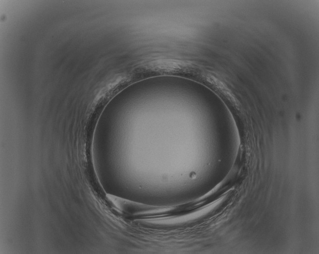 X0000066940399200603311422