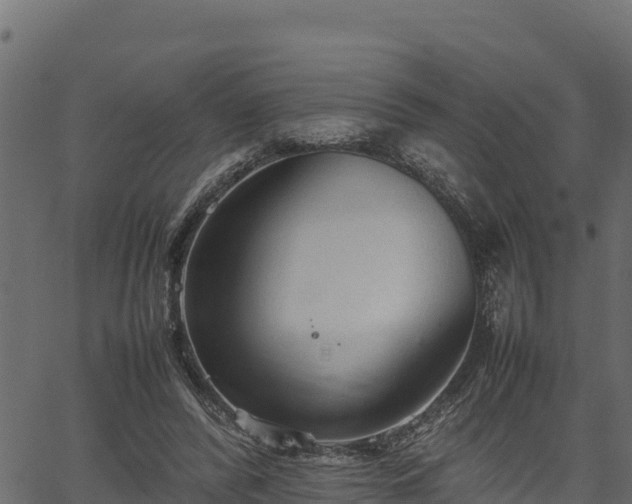 X0000066940400200603311422