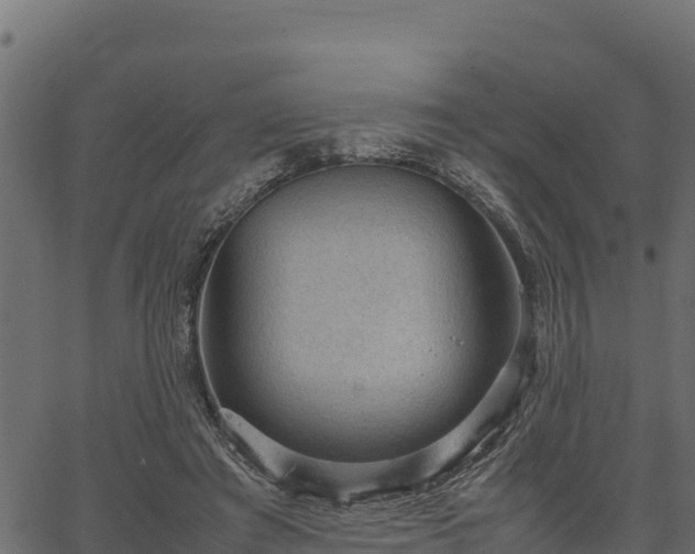 X0000066940401200603311422