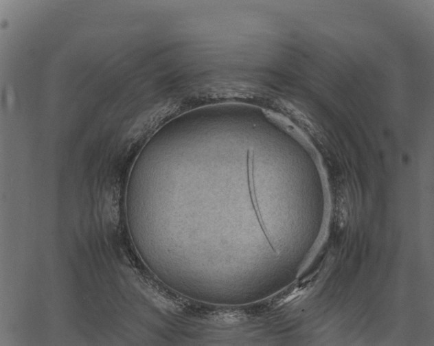 X0000066940402200603311422