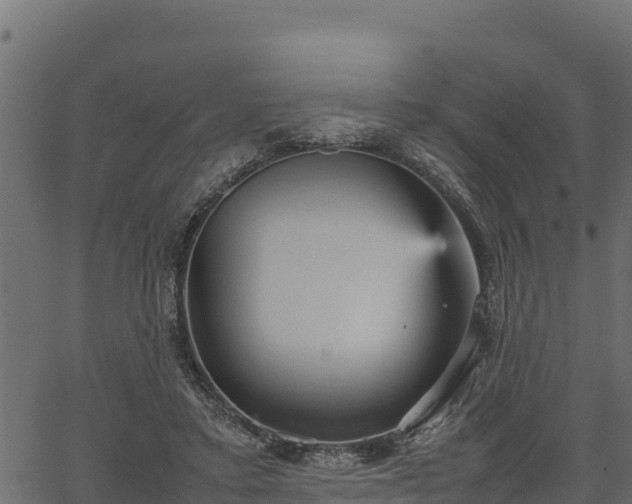 X0000066940403200603311422