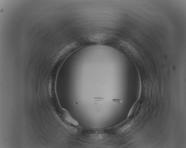 X0000066940404200603311422