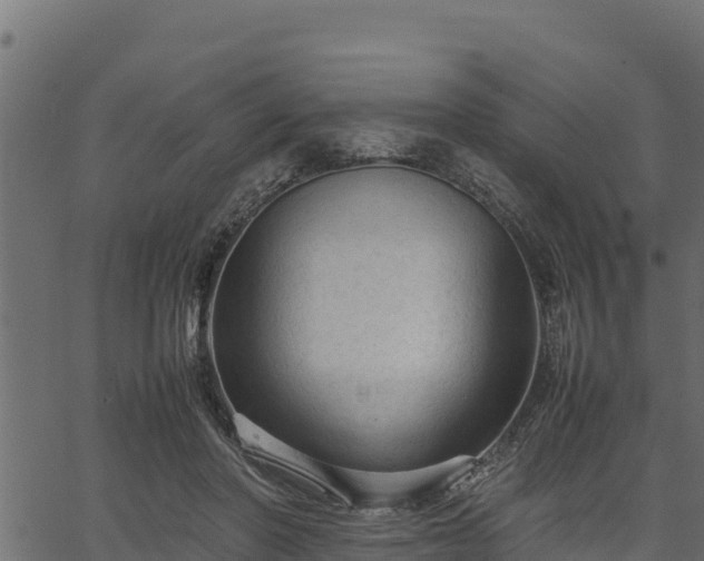 X0000066940406200603311422