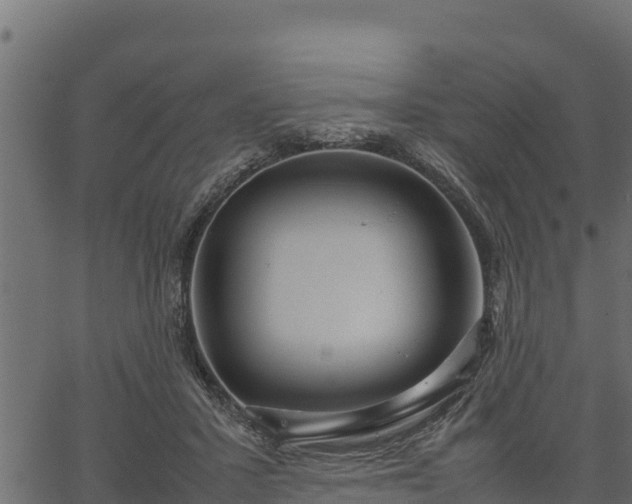 X0000066940407200603311422