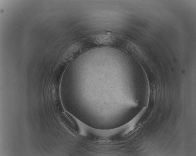 X0000066940408200603311422