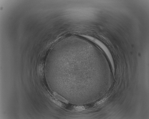 X0000066940409200603311422