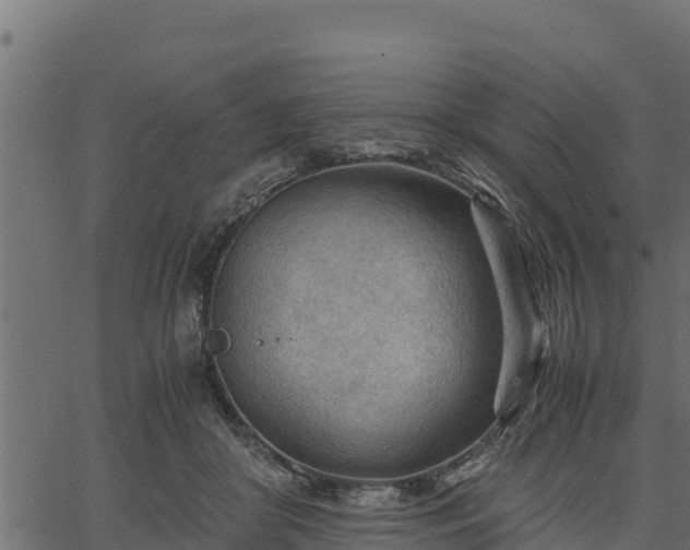 X0000066940410200603311422