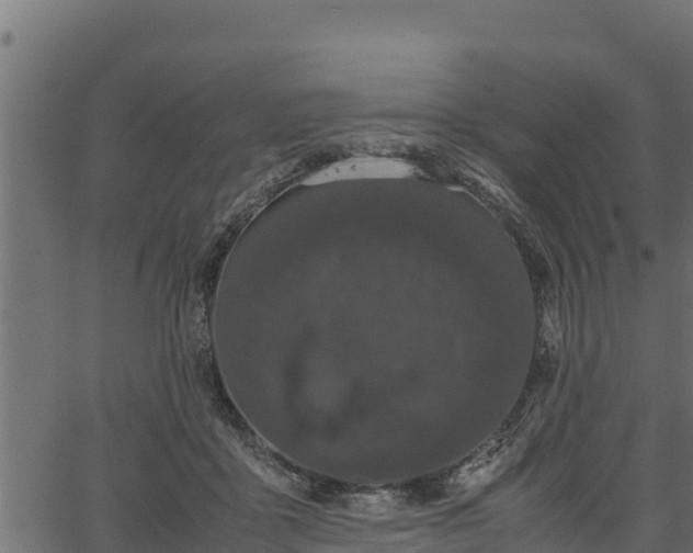 X0000066940411200603311422