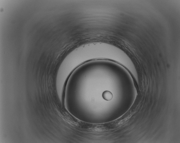 X0000066940412200603311422