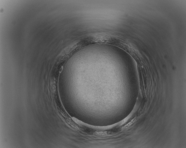 X0000066940413200603311422