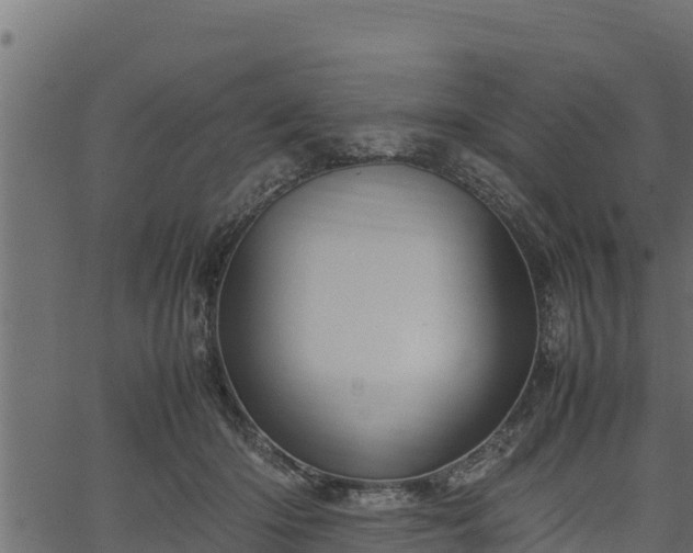 X0000066940414200603311422