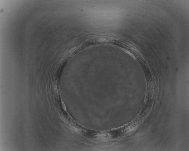 X0000066940415200603311422